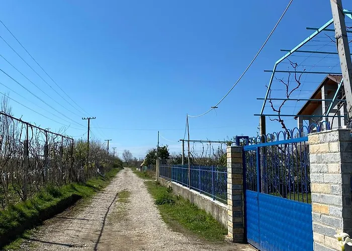 公寓 Bert-house Close To The Sea